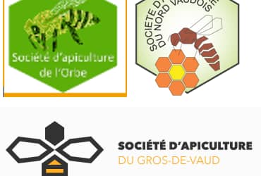 Course des 3 sections dimanche 29 juin 2025