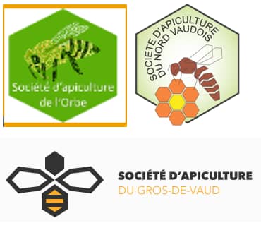 Course des 3 sections dimanche 29 juin 2025