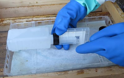 Nouveau: registre des traitements et inventaire des médicaments